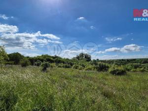 Prodej pozemku pro bydlení, Hrušovany, 30076 m2