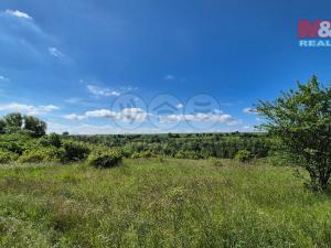 Prodej pozemku pro bydlení, Hrušovany, 30076 m2