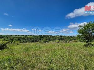 Prodej pozemku pro bydlení, Hrušovany, 30076 m2