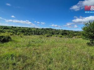 Prodej pozemku pro bydlení, Hrušovany, 30076 m2