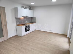Prodej bytu 1+kk, Praha - Chodov, Šternovská, 33 m2