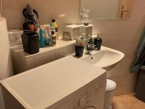 Pronájem bytu 2+kk, Mladá Boleslav, Vinecká, 44 m2