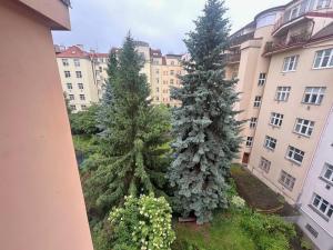 Pronájem bytu 3+kk, Praha - Střešovice, Parléřova, 110 m2