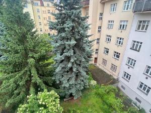 Pronájem bytu 3+kk, Praha - Střešovice, Parléřova, 110 m2