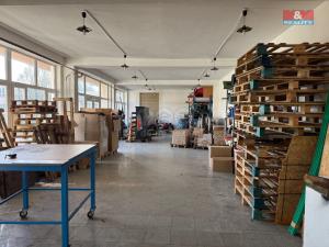 Prodej obchodního prostoru, Nové Sedlo, Masarykova, 408 m2