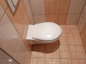 Pronájem bytu 1+1, Sokolov, Spartakiádní, 40 m2