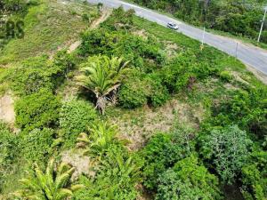 Prodej pozemku, Coxen Hole, Roatán, Honduras, 716 m2