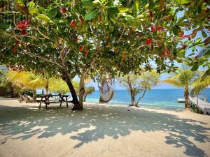 Prodej rodinného domu, Coxen Hole, Roatán, Honduras, 1022 m2