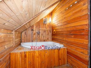Prodej rodinného domu, Bělušice - Odolice, 235 m2