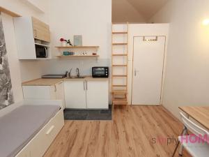 Pronájem bytu 1+kk, Praha - Žižkov, Cimburkova, 20 m2