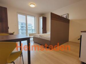 Pronájem bytu 1+kk, Plzeň - Jižní Předměstí, Magisterská, 30 m2
