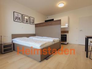 Pronájem bytu 1+kk, Plzeň - Jižní Předměstí, Magisterská, 30 m2