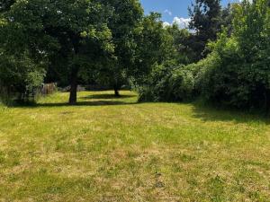 Prodej rodinného domu, Nová Ves - Nové Ouholice, 200 m2