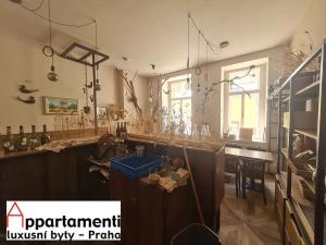 Pronájem restaurace, Praha - Staré Město, Veleslavínova, 150 m2