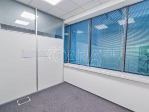 Pronájem kanceláře, Praha - Chodov, Türkova, 220 m2