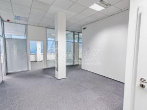 Pronájem kanceláře, Praha - Chodov, Türkova, 220 m2