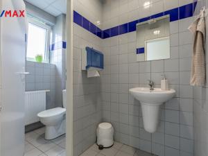 Pronájem kanceláře, Litvínov - Horní Litvínov, Rooseveltova, 987 m2