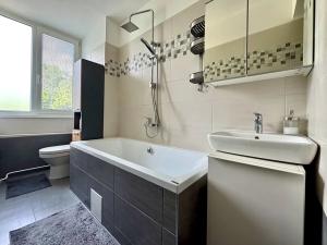 Prodej bytu 3+kk, Liberec, Dvorská, 65 m2