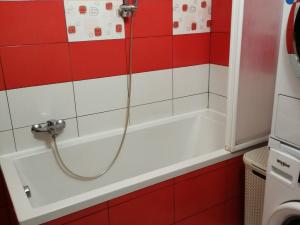 Pronájem bytu 3+1, České Budějovice - České Budějovice 2, Jizerská, 77 m2