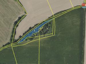 Prodej lesa, Maršovice - Libeč, 2104 m2