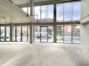 Pronájem obchodního prostoru, Brno, Nové sady, 160 m2