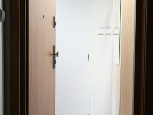 Pronájem bytu 2+kk, Opava, Lazebnická, 43 m2