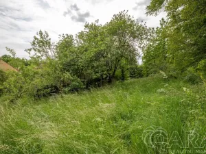 Prodej pozemku pro bydlení, Zdiby, 1714 m2