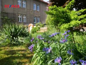 Prodej rodinného domu, Plzeň, Plzenecká, 120 m2