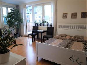 Pronájem bytu 1+kk, Praha - Strašnice, Janýrova, 37 m2