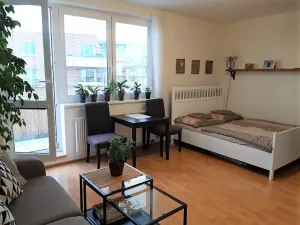Pronájem bytu 1+kk, Praha - Strašnice, Janýrova, 37 m2
