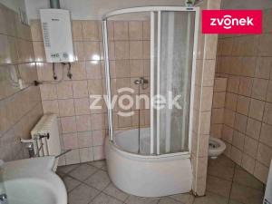 Prodej rodinného domu, Uherský Ostroh - Ostrožské Předměstí, 415 m2