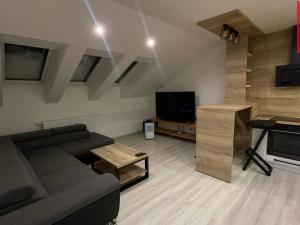 Pronájem bytu 2+kk, Opava, Mostní, 55 m2
