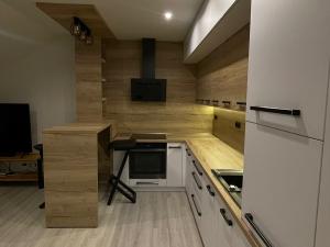 Pronájem bytu 2+kk, Opava, Mostní, 55 m2
