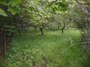 Prodej zahrady, Turnov, 861 m2