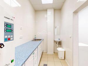 Pronájem obchodního prostoru, Hora Svatého Šebestiána, 72 m2