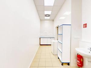 Pronájem obchodního prostoru, Hora Svatého Šebestiána, 72 m2