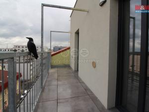 Pronájem bytu 2+kk, Plzeň - Jižní Předměstí, Kotkova, 40 m2