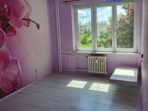 Pronájem bytu 2+1, Aš, Palackého, 57 m2