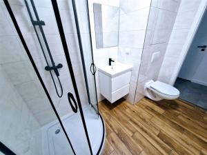Pronájem bytu 2+1, Ústí nad Labem - Střekov, Tolstého, 65 m2