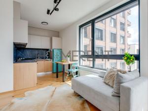 Pronájem bytu 1+kk, Praha - Nusle, Mužíkova, 34 m2
