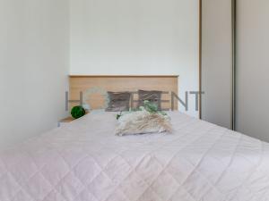 Pronájem bytu 1+kk, Praha - Nusle, Mužíkova, 34 m2