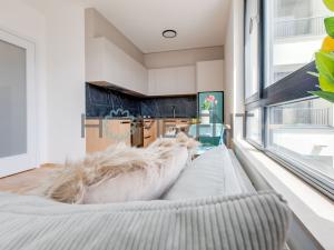 Pronájem bytu 1+kk, Praha - Nusle, Mužíkova, 34 m2