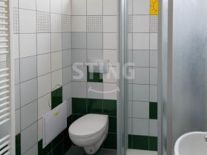 Prodej komerční nemovitosti, Český Těšín, 223 m2