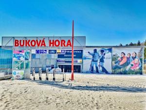 Prodej bytu 3+kk, Červená Voda - Mlýnický Dvůr, 312 m2