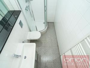 Pronájem bytu 4+1, Praha - Vinohrady, Na Švihance, 140 m2