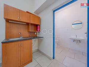 Prodej obchodního prostoru, Šarovy, 400 m2