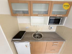 Pronájem bytu 1+kk, Ostrava, Na Obvodu, 27 m2