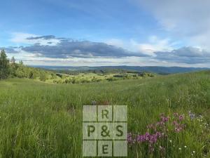 Prodej pozemku pro bydlení, Domašín, 1150 m2