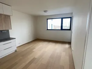 Pronájem bytu 2+kk, Praha, V třešňovce, 57 m2
