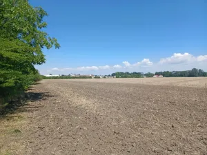 Prodej pozemku pro bydlení, Horka nad Moravou, 43150 m2